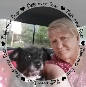 Meet your Posher, Stella